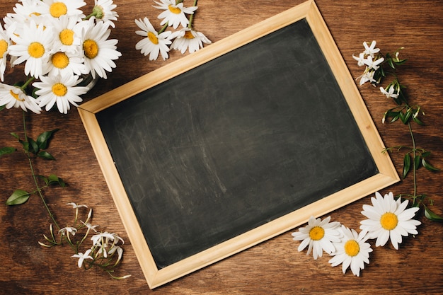 Kostenloses Foto tafel nahe frischen gänseblümchenblumen