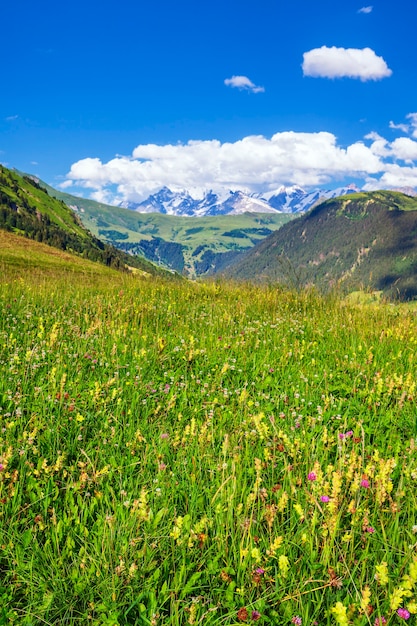 Kostenloses Foto vertikale ansicht der französischen alpen im sommer