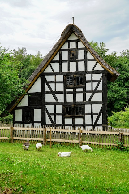 Kostenlose Foto vertikale aufnahme des kommern open air museums in mechernich, deutschland