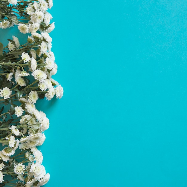 Wildblumen reihen sich links für den Frühling auf