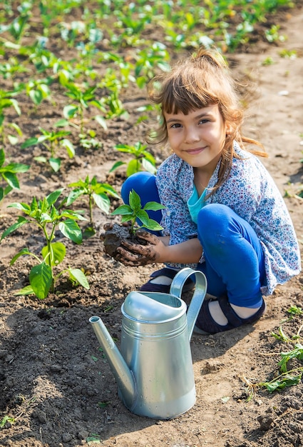 A criança está plantando mudas no jardim. Foco seletivo. Natureza.