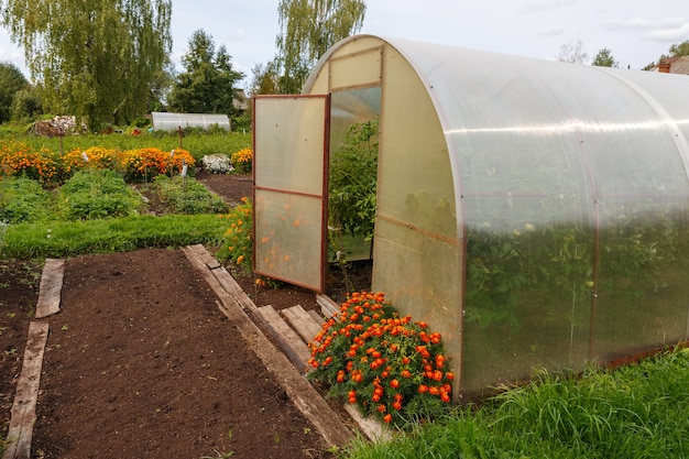 A estufa para tomates no jardim abre a porta da estufa