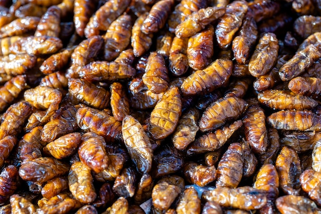 Bichos-da-seda fritos deliciosos em comida de rua na Tailândia Fechar