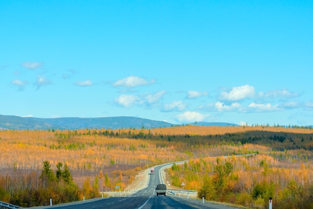 Foto cena de outono brilhante com estrada entre árvores laranja e verdes e céu azul foco seletivo suave beleza do conceito de viagem da natureza