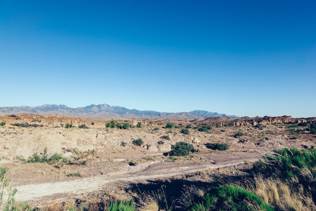 Cenário clássico do sudoeste dos EUA com deserto e montanhas