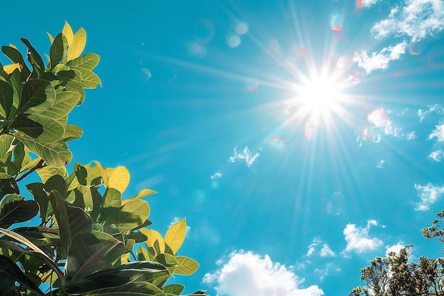 Foto céu azul com o sol brilhando no fundo o brilho da lente é visível criando uma atmosfera o