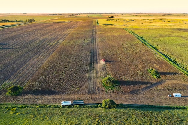 Colheitadeira em Pampas Campo vista aérea La Pampa província Argentina