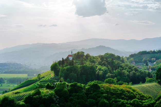 Colinas verdes em Maribor, Baixa Estíria, Eslovênia