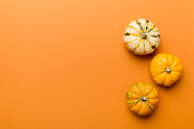 Composição de outono de pequenas abóboras laranja no fundo da mesa colorida Outono conceito de Halloween e Ação de Graças Fotografia plana de outono Vista superior com espaço de cópia