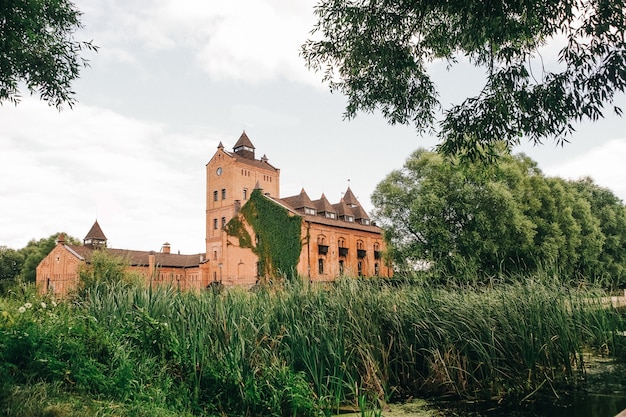 Das alte, mit Kletterpflanzen bewachsene Schloss erhebt sich am Ufer des Sees