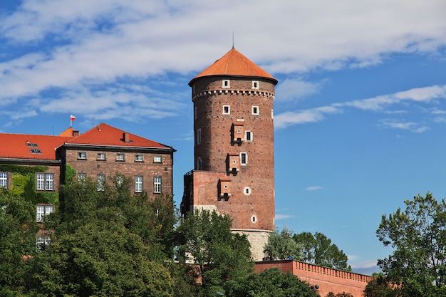 Das Schloss in Krakau, Polen