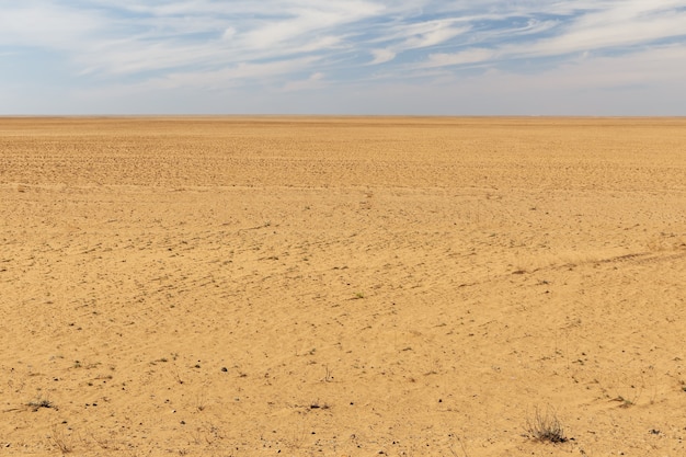 Deserto de areia no Cazaquistão: bela paisagem desértica