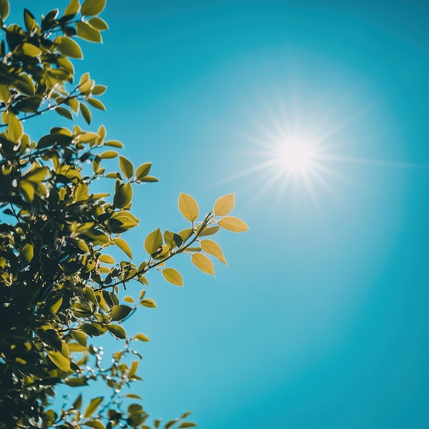 Foto dia ensolarado com céu azul claro