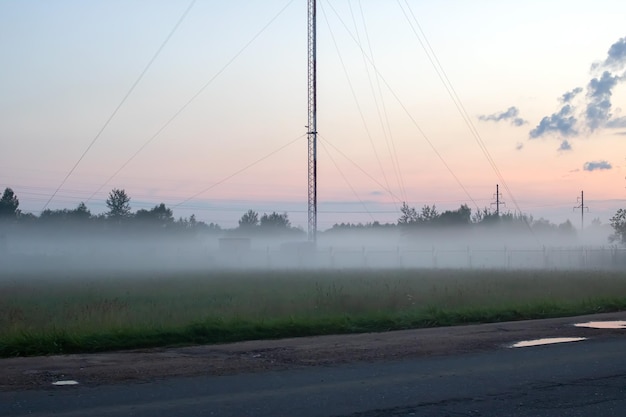 Dichter Nebel auf einem Feld bei Sonnenuntergang