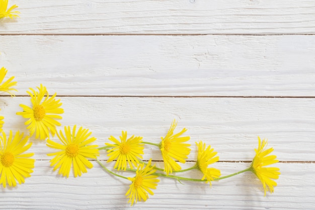 Foto doronicum blumen auf gemaltem hölzernem hintergrund