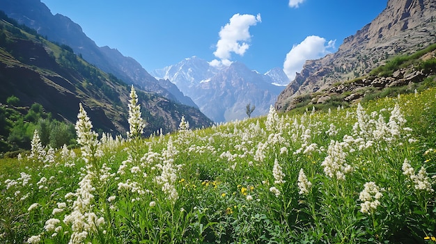 Foto ein malerischer blick auf ein himalaya-tal mit einheimischen heilpflanzen, die wild umgeben wachsen