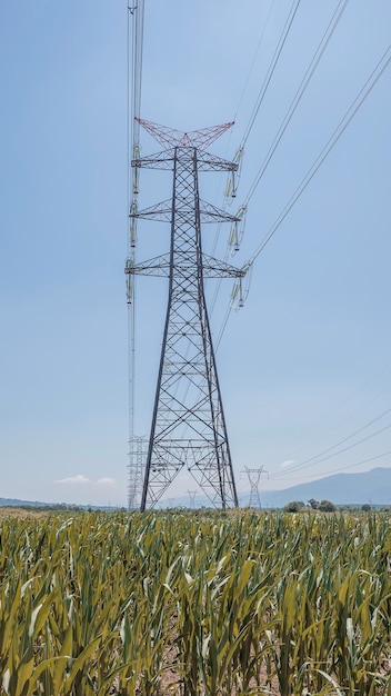 Foto elektrische stangen in der mitte des feldes