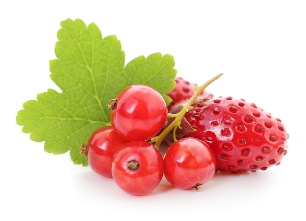 Erdbeeren und rote Johannisbeeren mit Blättern auf Weiß