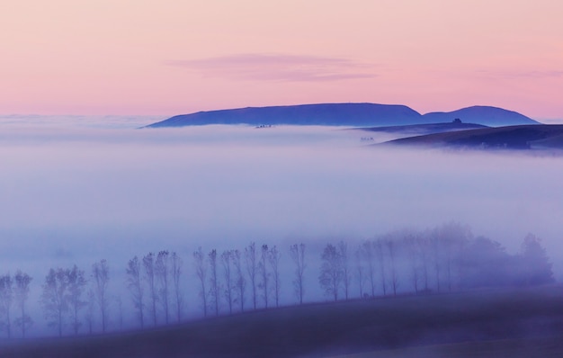 Foto erstaunliche neblige ländliche landschaften am morgen. neuseeland wunderschöne natur