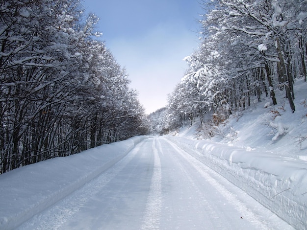 Estrada coberta de neve