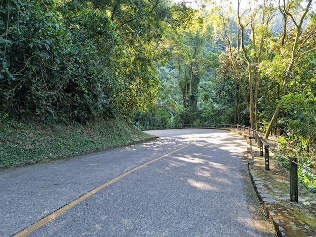 Estrada curvada no meio da floresta no parque de Santos Brasil