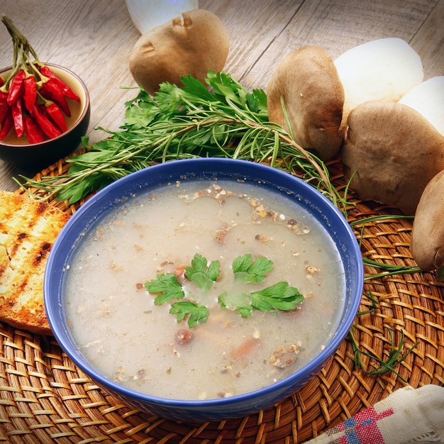 Exquisite traditionelle Pilzsuppe mit Bio-Zutaten