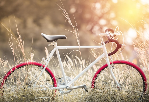 Foto fahrrad, das auf einem grasbewachsenen feld geparkt ist