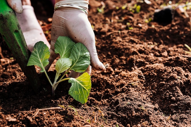 Feche as mãos plantando no chão