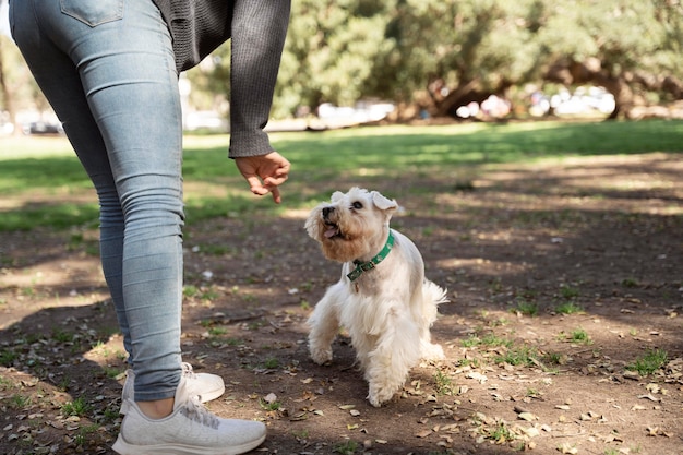 Feche o dono e o cachorro ao ar livre