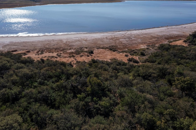 Floresta dos Pampas Árvore Calden Prosopis Caldenia espécies endêmicas em La Pampa Patagônia Argentina