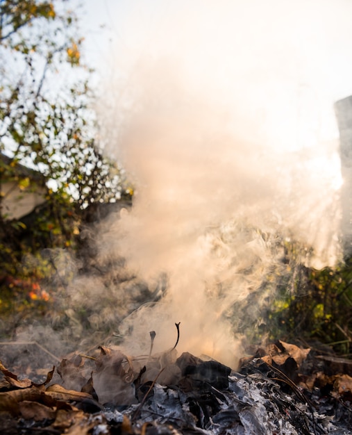 Foto fogo ardente de folhas secas. chamas e fumaça de folhas queimadas. queimar folhas faz mal ao meio ambiente