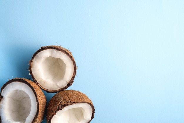 Frutos de coco na superfície plana vibrante azul, conceito tropical de comida abstrata, espaço de cópia de vista superior