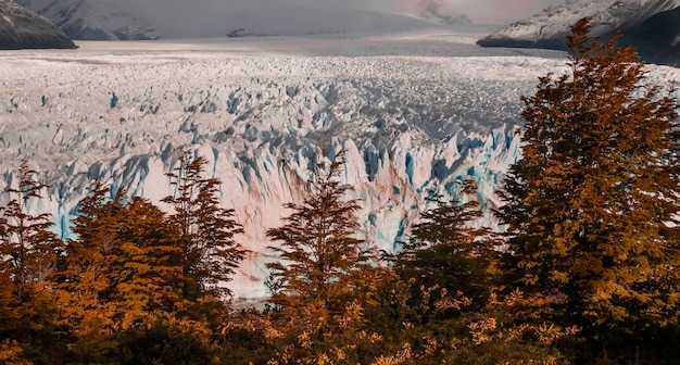 Glaciar Perito Moreno Parque Nacional Los Glaciares Província de Santa Cruz Patagônia Argentina