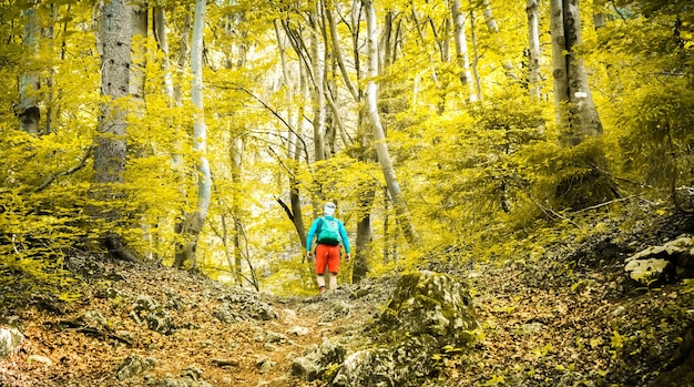 Große Fatra-Berge vom Sip-Gipfel in der Slowakei. Sommerliches Naturwanderziel in der Nähe von Dolny Kubin