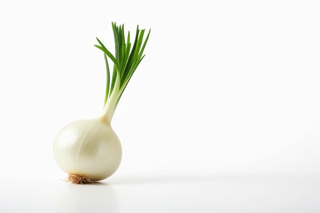 Foto há uma cebola branca com folhas verdes num vaso branco.