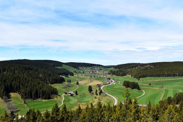 Foto hochwinkelansicht von bäumen auf der landschaft gegen den himmel