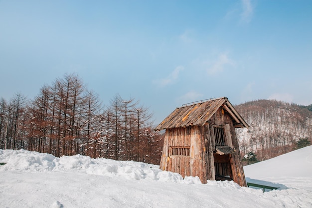 Foto holzhütte auf einem schneebedeckten feld gegen den himmel