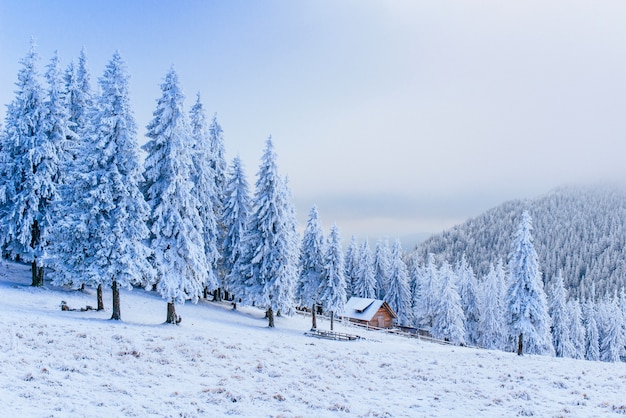 Foto idyllisches ferienhaus im winter