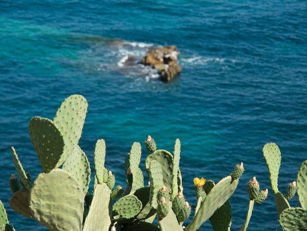 Foto ilha de ibiza, na espanha