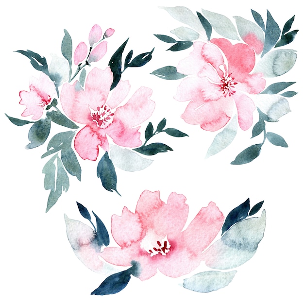 Ilustração em aquarela de flores, isolada no branco