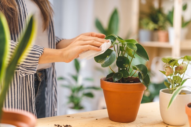 Jardineiras mulheres regando plantas