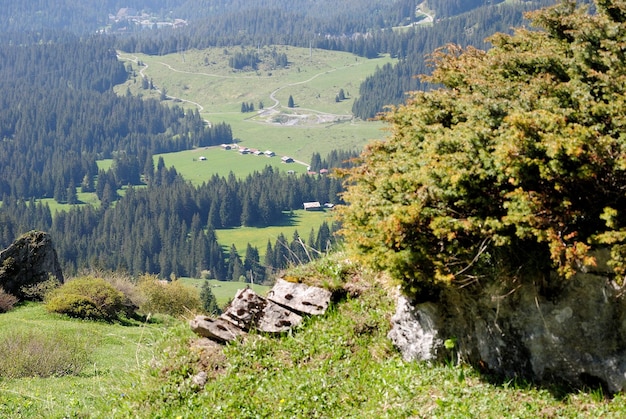 Foto landschaftliche aussicht auf baumberge