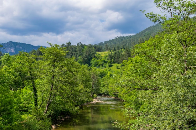 Foto landschaftliche aussicht auf den wald gegen den himmel