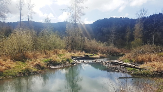 Foto landschaftliche aussicht auf einen see im wald gegen den himmel