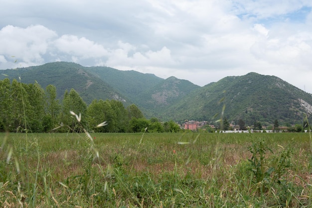 Foto landschaftsansicht des feldes gegen den himmel