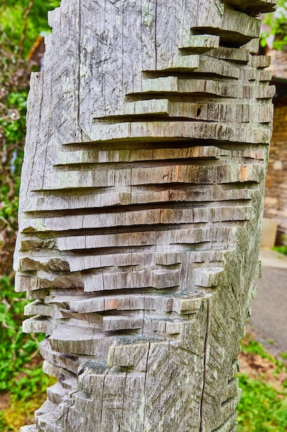 Log vertical de arte abstrata Double Helix criado pelo artista Heike Endermann na floresta de Bernheim