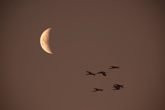 Lua em um céu claro antes de escurecer