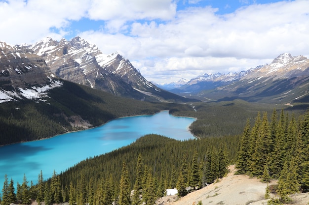 Magnífica vista do lago Payto e das montanhas nevadas no Parque Nacional de Banff, Canadá