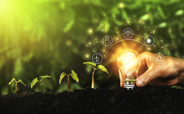 Foto mão segurando uma lâmpada iluminada contra a natureza. conceito de ecologia. fontes de energia para um desenvolvimento sustentável e renovável.