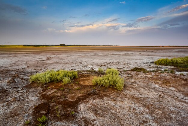 Meio ambiente desértico na província de La Pampa Patagônia Argentina